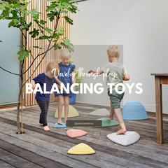 Collection image for: Balancing Toys