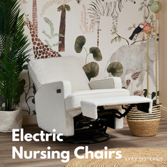 Collection image for: Electric Nursing Chairs