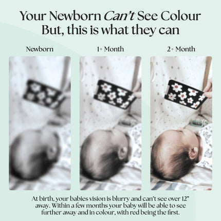 0+ Month Newborn Sensory Cards