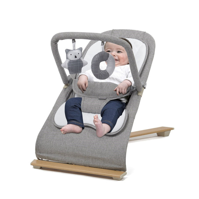 Johnston's Gravity Luxe Bouncer