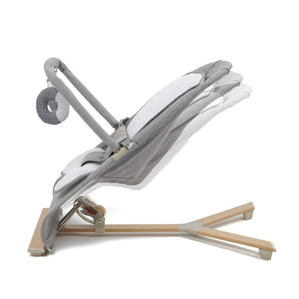 Johnston's Gravity Luxe Bouncer