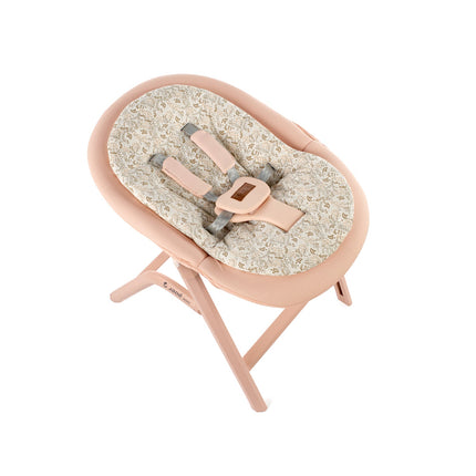 Jane Noah Highchair + Rocker Kit for Newborns – Convertible Beechwood Chair from birth to Adulthood, Pale
