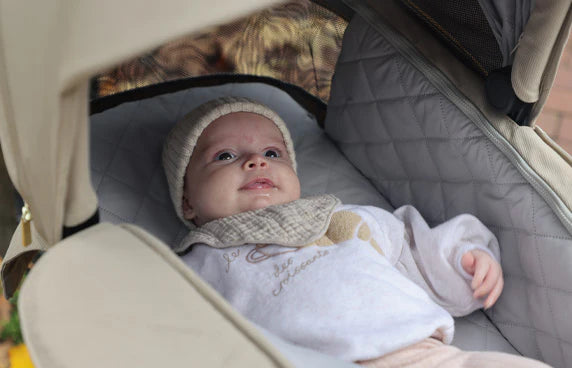 <h2>Cosy Carrycot</h2>