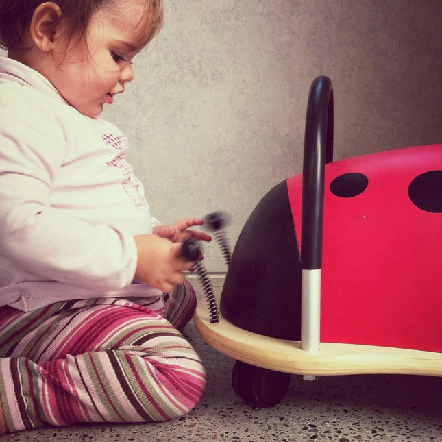 Ride On Ladybird
