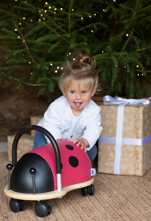 <h2>Wheely Bugs</h2>