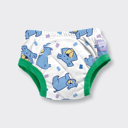 NEW Reusable Potty Training Pants with Cross-Stitch