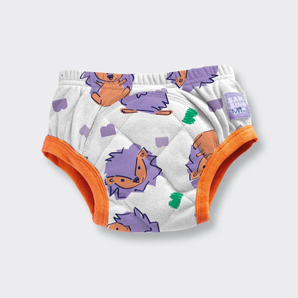 NEW Reusable Potty Training Pants with Cross-Stitch