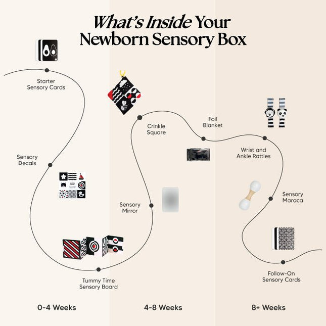 The Newborn Sensory Box (0-6+ Months)