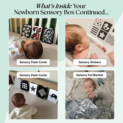 The Newborn Sensory Box (0-6+ Months)