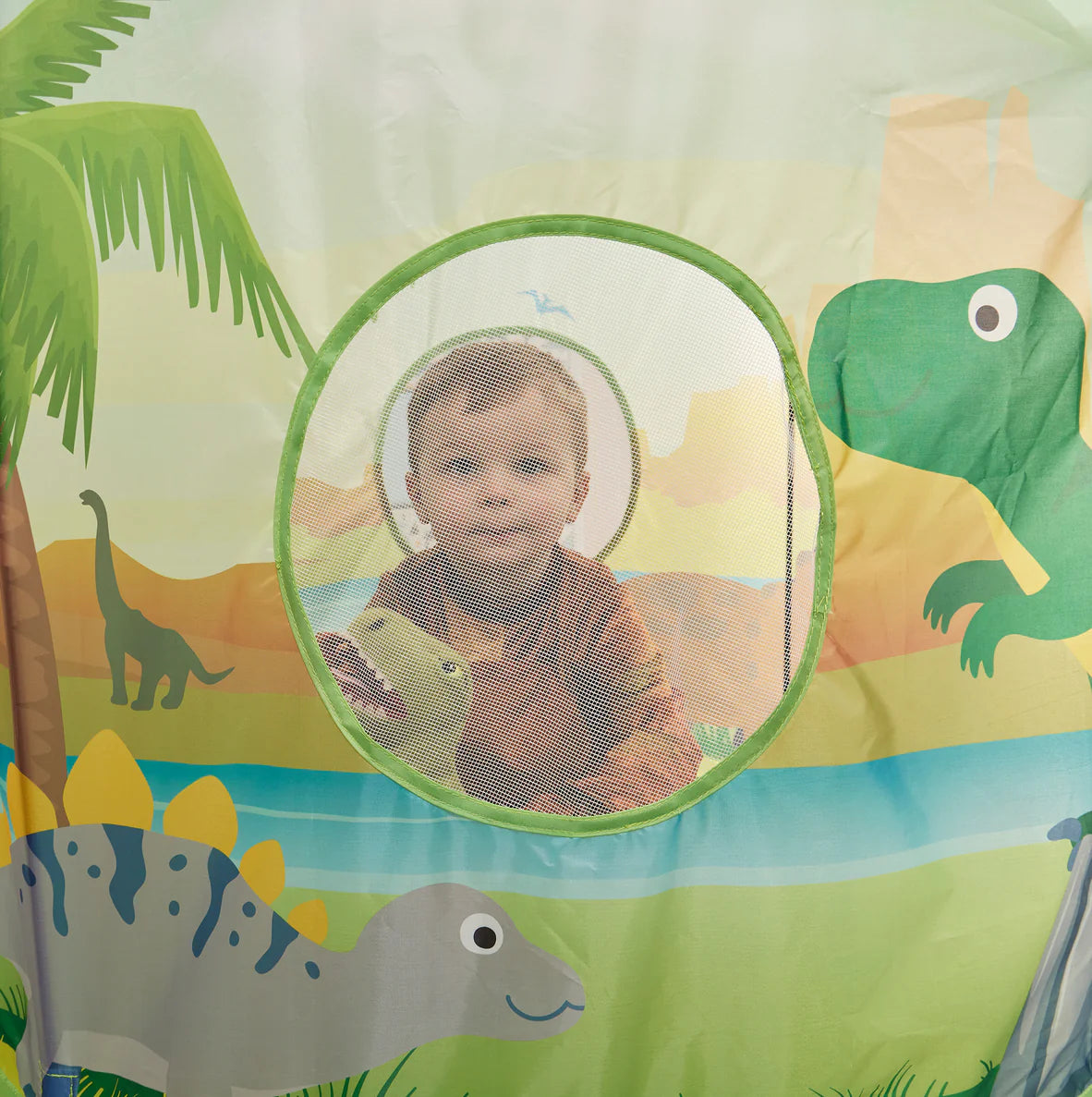 Dinosaur Play Tent