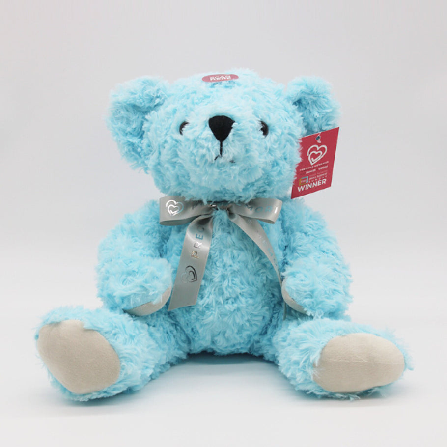 Precious Memories - Memory Bear | Blue – Junior Bambinos