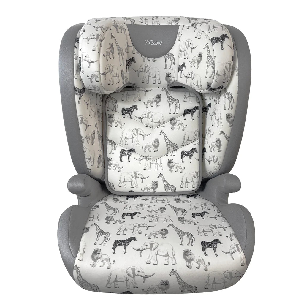 Little one outlet car seat