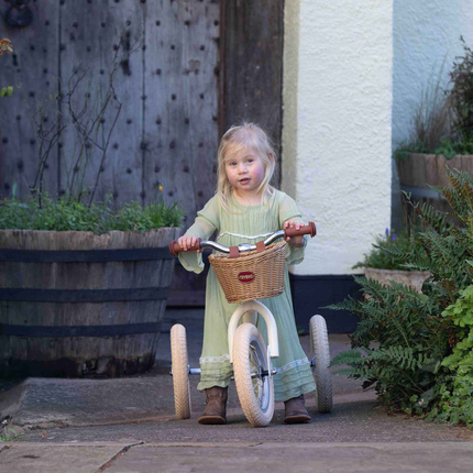 Trybike Wicker Basket