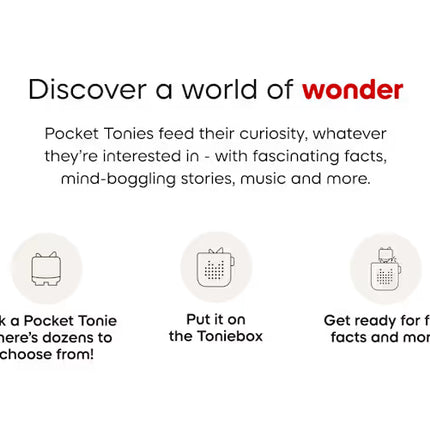 Wonderblocks Tonie